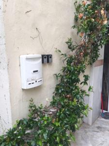 a toaster on the side of a wall next to a bush at Xsoma Flats "Studio" in Thessaloniki