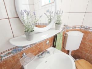 Koupelna v ubytování Apartments 'Stine' + 37 fotografií