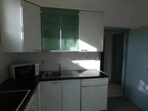 Kuchyň nebo kuchyňský kout v ubytování Apartments 'Stine'