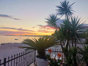 - un groupe de palmiers sur la plage au coucher du soleil dans l'établissement Villa Maris- beachfront villa with exclusive pool, à Podstrana