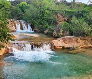 a river with a waterfall in a forest at Apartamentos La Venta del Rome in Horta de San Joan