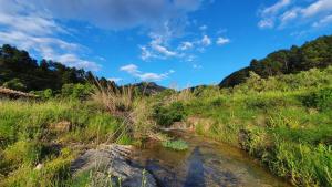 a stream in a field with grass and trees at Apartamentos La Venta del Rome in Horta de San Joan +12 photos