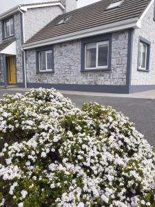 um arbusto de flores brancas em frente a uma casa em Sunny Hill View em Lahinch