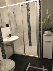 een badkamer met een douche, een toilet en een wastafel bij Ferienwohnung Viktoria in Gotha