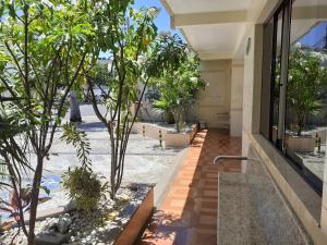 a building with a courtyard with trees and plants at Hotel Litoral in Aracaju