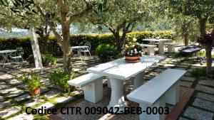 諾利的住宿－B&B Elfo degli Ulivi，公园里的白色野餐桌和长凳