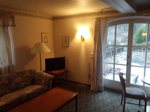 a living room with a couch and a tv and a window at Hotel Feiler in Muggendorf