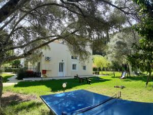 Photo de la galerie de l'établissement Apartments Avra, à Leucade