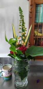 um vaso de vidro com plantas sobre uma mesa em Lancewood Lodge em Bulls