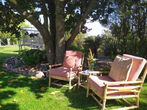 twee stoelen in het gras onder een boom bij Lancewood Lodge in Bulls