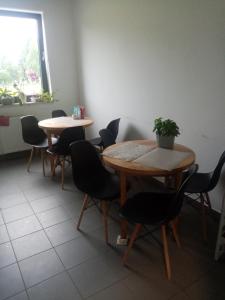 Pokój z dwoma stołami i krzesłami oraz doniczką w obiekcie Hostel Załogowa w Gdańsku