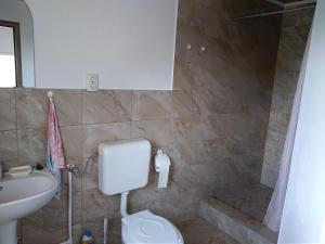 La salle de bains est pourvue de toilettes, d'un lavabo et d'une douche. dans l'établissement Casa Anda - Adult Only, à Sovata