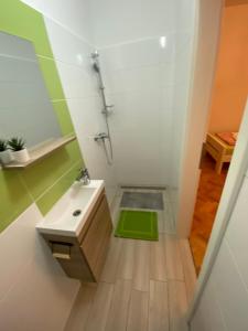 un piccolo bagno con lavandino e doccia di Sobe Kaki in kivi a Izola