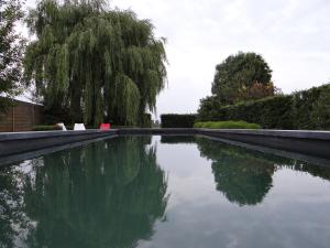 Bassein majutusasutuses Rue du Canal või selle lähedal