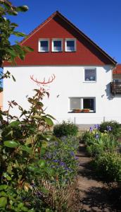 une maison blanche avec un toit rouge et quelques fleurs dans l'établissement Ferienwohnung Rothirsch, à Bad Sachsa