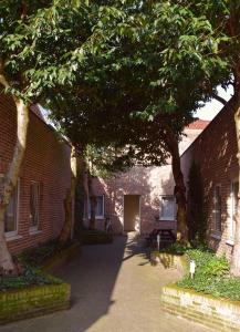 魯汶的住宿－Condo Gardens Leuven - Budget Studio Twin，前面有树的砖砌建筑
