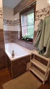 a bath tub in a bathroom with a window at Kemp Indiana in Edrovice