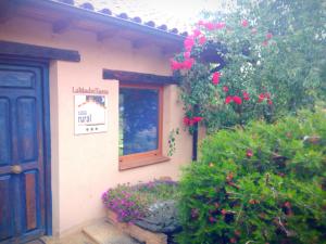 budynek z oknem i kwiatami przed nim w obiekcie Casa Rural Lamadretierra w mieście Villamejil