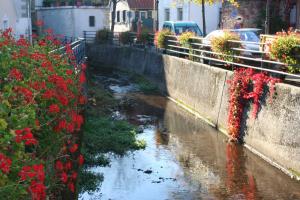 a river with red flowers next to a wall at Ferienwohnung Spatzennest in Edesheim in Edesheim