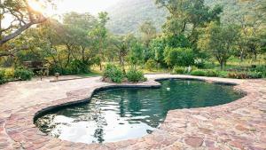 una piscina de agua en un patio con árboles en Shondoro Mountain Retreat, en Vaalwater