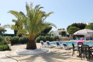 a palm tree sitting next to chairs and a swimming pool at CASA BEACHCOMBER Le jardin des Arts in Lagos