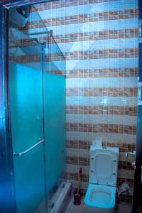 a bathroom with a blue toilet and a shower at Mexiloyd Luxury Rooms & Suites in Port Harcourt