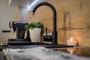 a kitchen sink with a faucet and a plant at Baltic 4YOU 3 in Pobierowo