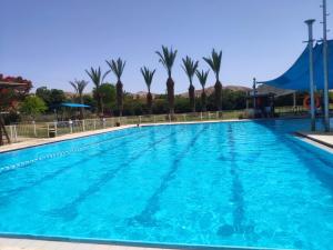 a large blue swimming pool with palm trees in the background at Idan Lodge in the Arava in Paran