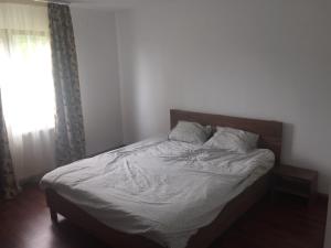 Un pat sau paturi într-o cameră la Vila Chiojdu