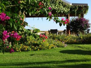 a garden with colorful flowers and a pergola at Hotel Mariposas in Villasimius