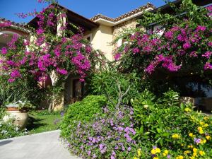 a garden of flowers in front of a house at Hotel Mariposas in Villasimius