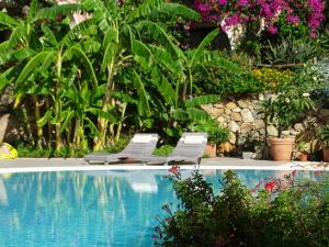 a swimming pool with two lounge chairs and flowers at Hotel Mariposas in Villasimius