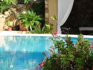 a blue swimming pool with plants in a yard at Hotel Mariposas in Villasimius