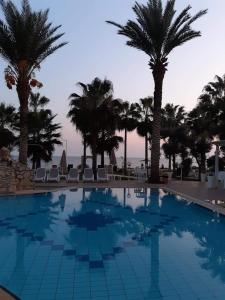 a large swimming pool with palm trees and the ocean at Simos Magic Beach Hotel Apts in Ayia Napa