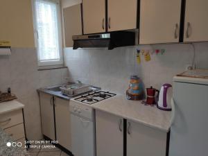 Kuchyň nebo kuchyňský kout v ubytování Apartments Davor