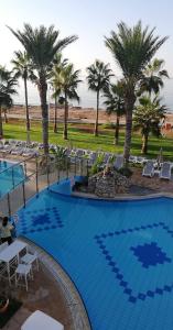 a large swimming pool with chairs and palm trees at Simos Magic Beach Hotel Apts in Ayia Napa