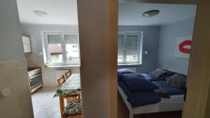Fotografie z fotogalerie ubytování Apartament w Kwiatki v destinaci Międzyzdroje