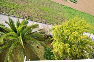 Zahrada ubytování Apartmani Trogir
