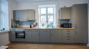 a kitchen with gray cabinets and a sink and a window at Ferienwohnung _Altes Zollamt_ in Neustadt in Holstein