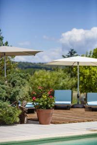 un patio con 2 sillas y sombrillas y una piscina en Le Petit Viala, en Capestang