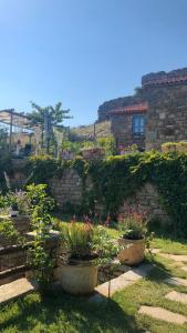 un jardín con macetas y una pared de piedra. en EFLİN BUTİK OTEL, en Gokceada Town