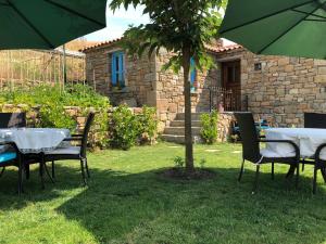 una mesa y sillas bajo un árbol en un patio en EFLİN BUTİK OTEL en Gokceada Town