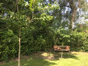 a bench sitting in the grass near some trees at Het creijennest Gemeente 's-Hertogenbosch in Rosmalen