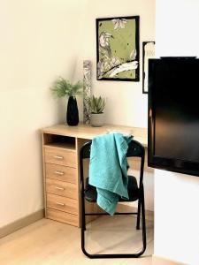 TV a/nebo společenská místnost v ubytování Résidence « Au passage coloré »