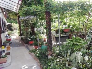 un jardín con muchas plantas y árboles en Room Sarah, en Rijeka