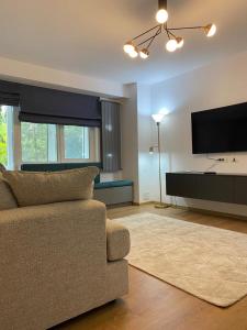 sala de estar con sofá y TV de pantalla plana en Mery Luxury Apartment en Galaţi