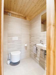 a bathroom with a toilet and a sink at Log House Natura in Radovljica