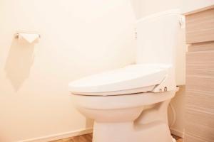 a bathroom with a white toilet in a room at Hotel Shu in Tokyo