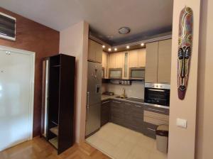eine Küche mit Küchengeräten aus Edelstahl und einem schwarzen Kühlschrank in der Unterkunft Apartment StefanA in Belgrad