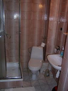 W łazience znajduje się toaleta, prysznic i umywalka. w obiekcie Seeblick w mieście Olecko